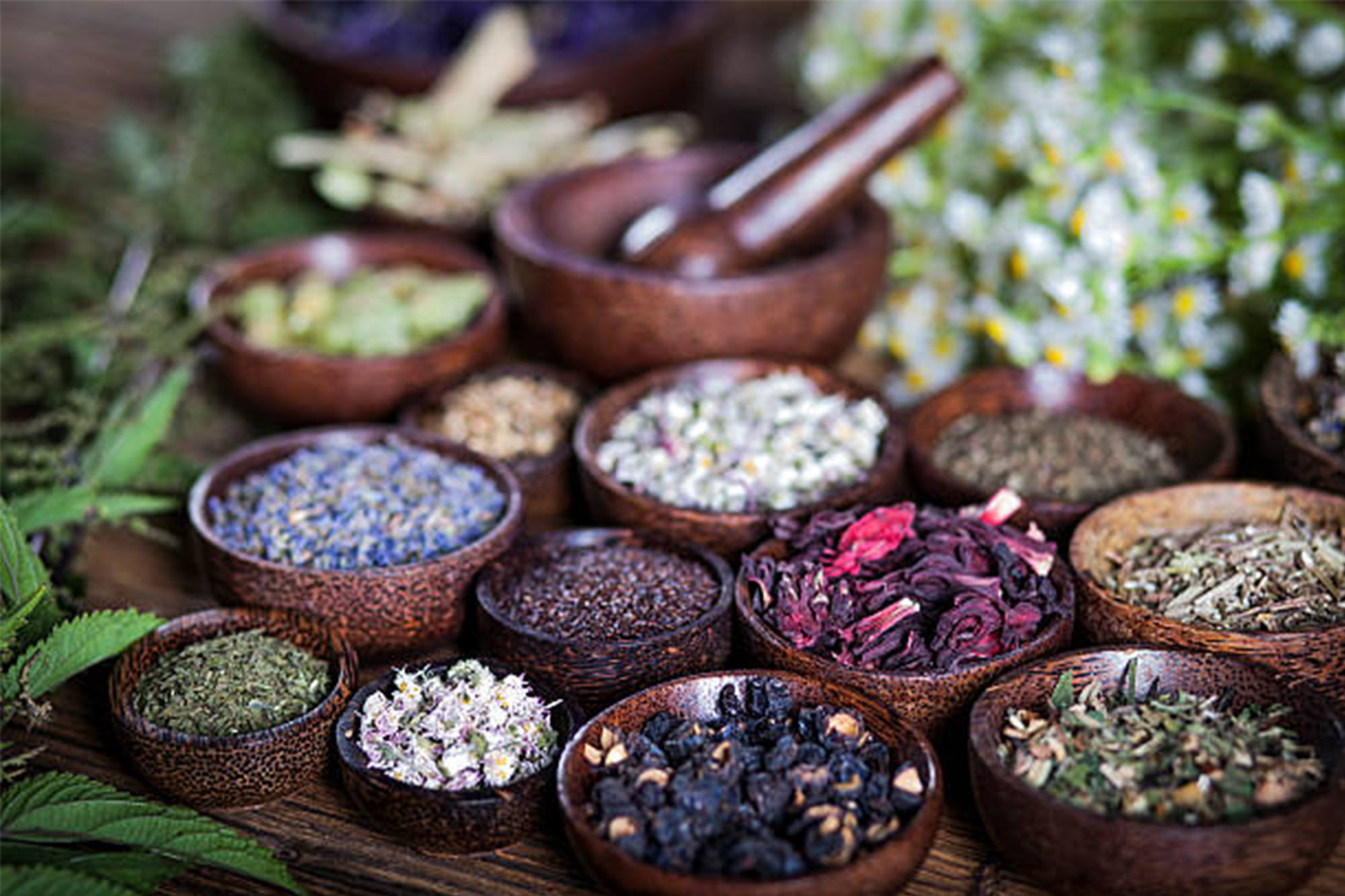 Omics for Traditional Medicine Analysis | Solutions for a Better ...