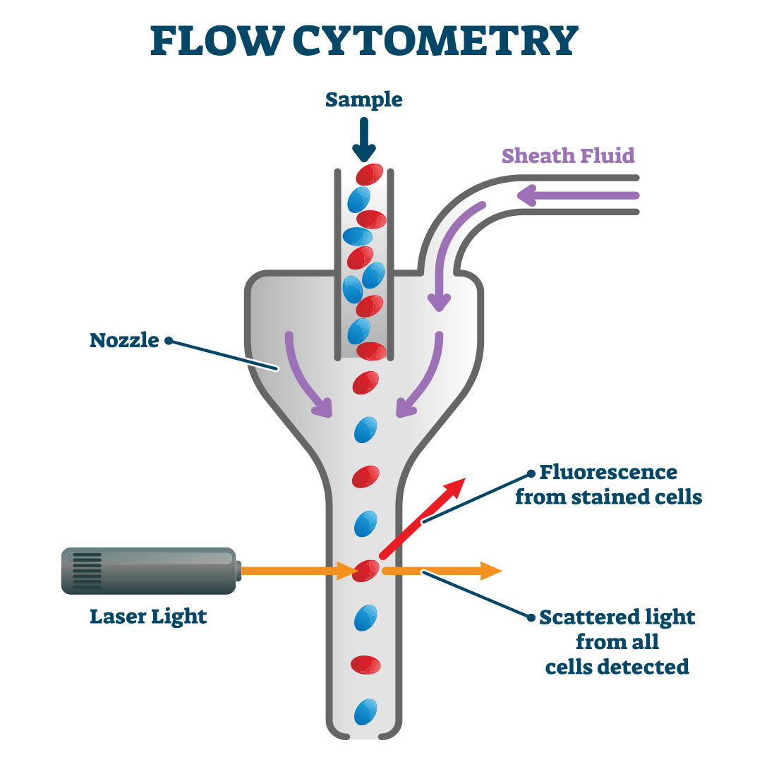 A Novel Microfluidic Flow Cytometry Based Cell-Molecular Analyzer
