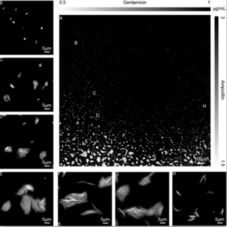 Development of the World's First Multidimensional Antimicrobial Susceptibility Testing (AST) System